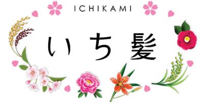 Logo thương hiệu ICHIKAMI