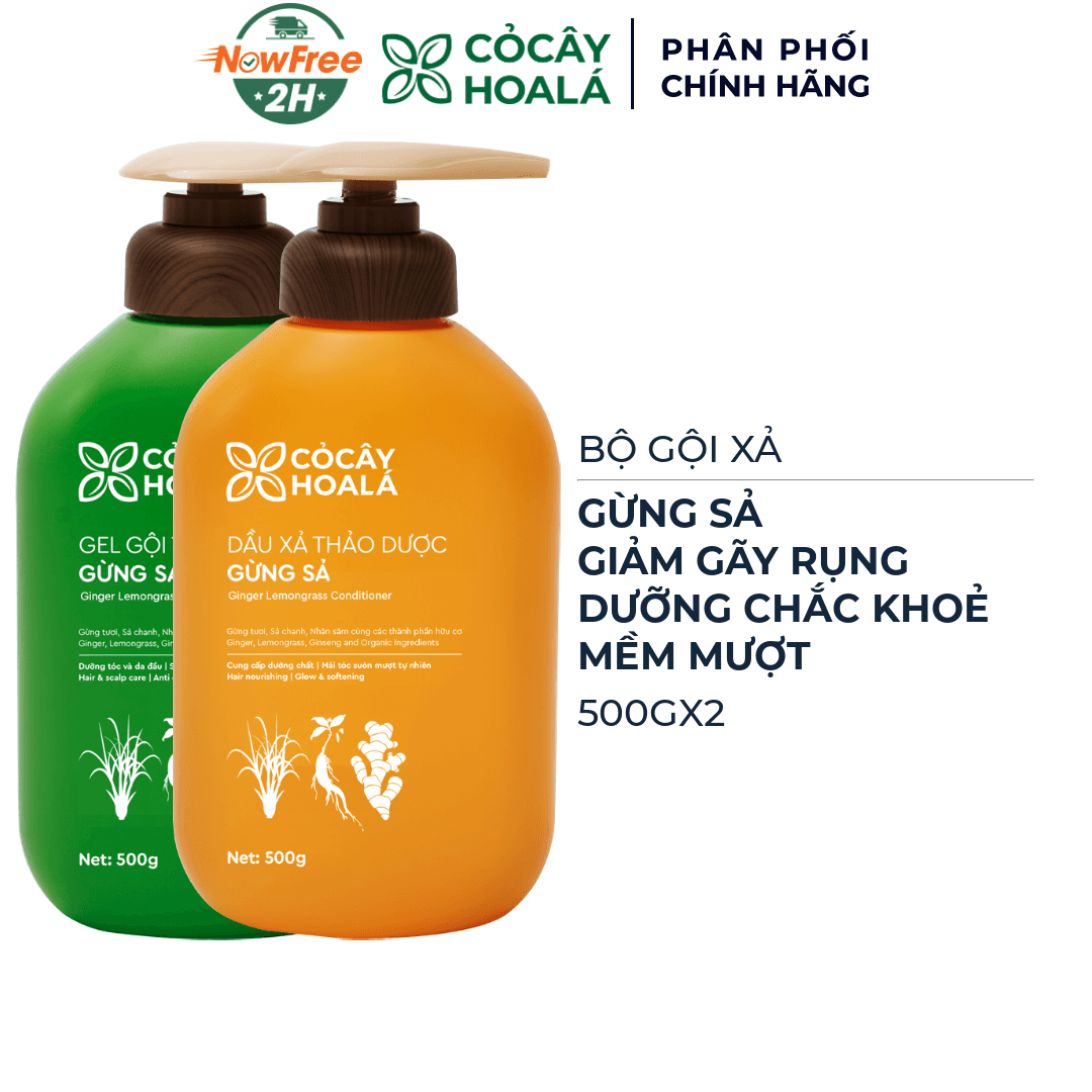 Bộ Gội Xả Cỏ Cây Hoa Lá Thảo Dược Gừng Sả 500gx2